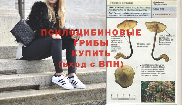 прущая мука Нея