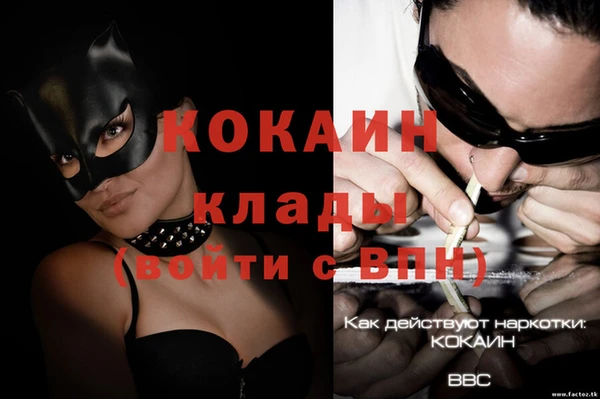гашик Нефтекумск