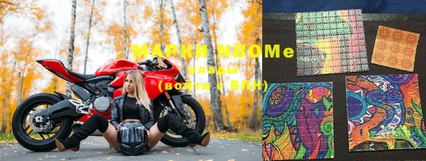ешки Новозыбков