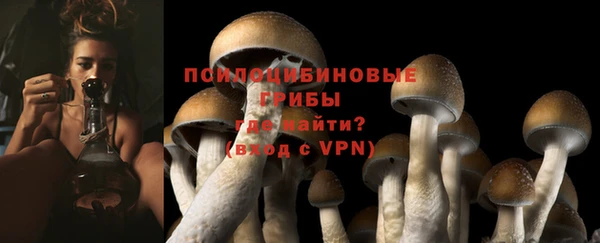 PSILOCYBIN Елизово