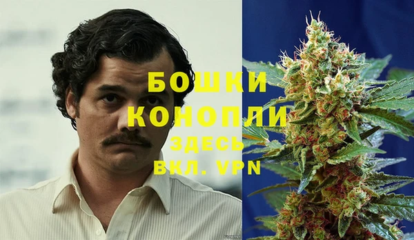 прущая мука Нея