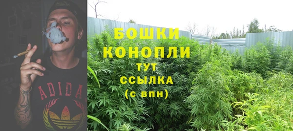 гашик Нефтекумск