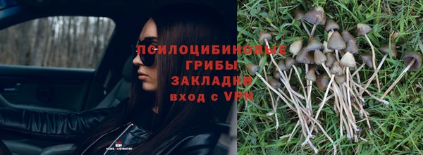 прущие крисы Нефтегорск