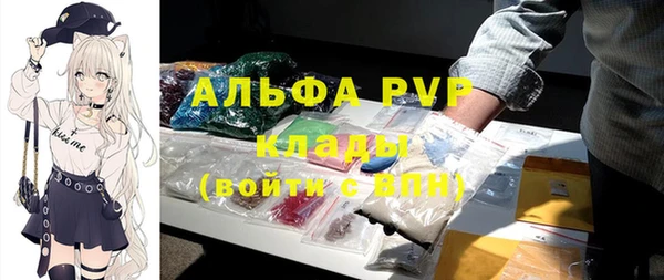 ECSTASY Новодвинск