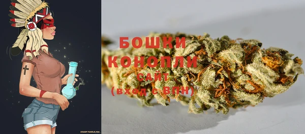 прущая мука Нея